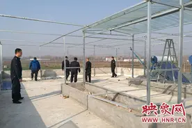 楼顶搭架“种葡萄” 汝州城管识破违建小伎俩图片