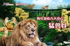 勇敢者的游戏深圳野生动物园猛兽谷邀你来战！图片