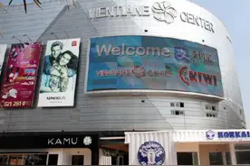 新媒：中国移动支付加速落户东南亚 有四国接入图片