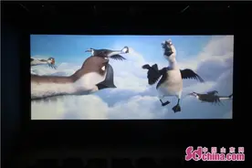 小记者走进星美影城观影《妈妈咪鸭》在成长中懂得爱图片