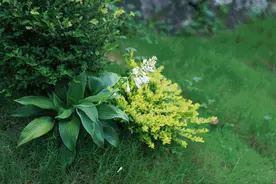 春天，贵州最美的赏花地都在这里了，全都美得不像话！图片
