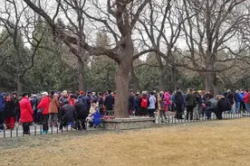 春天来了，相亲角人多了图片
