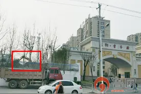 东平一小区旁将建信号塔 居民担心辐射盼挪走图片