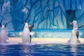 河南“最新鲜”的10大主题乐园，让你不再惦记人挤人的迪斯尼！图片