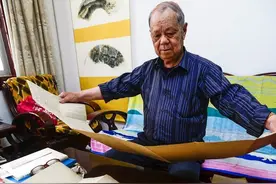 江南扇王 手工终究是机器比不上的图片