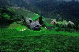 政策 | 正安规划退耕还林48.97万亩 每亩最低补助300元图片