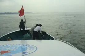 江西九江市永修县鄱阳湖渔政局加强对禁渔区日常巡湖检查图片