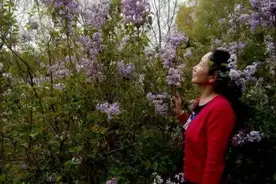 高雁萍｜载歌载舞的巴斯克节图片