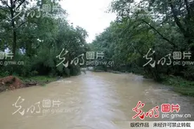 江西武宁：新建大桥在暴雨中被山上滚落的巨石砸中图片