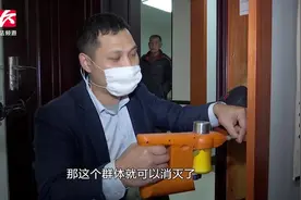 崩溃！春季白蚁入侵，仅一个卧室衣柜就藏有上万只视频封面