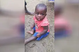 非洲苍蝇哥，苍蝇妹，你喜欢哪个（发现他们肚脐眼都是凸出来的）视频封面