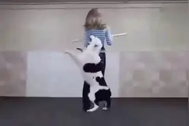 美女与狗狗共舞 大家看看谁更妖娆视频封面