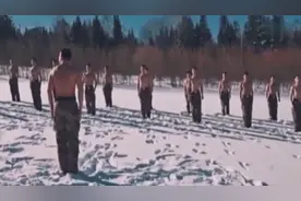 这是一群来自北方的狼图片