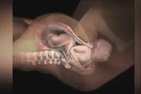 许多人都不知道的事！自然分娩高清动画全过程，妈妈的不易！视频封面