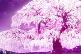 一首十分值得循环的钢琴曲《卡农》，听了心里满满是感动！图片