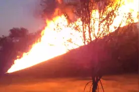 男子自制背包火焰喷射器，这是第一次试射，想不到威力这么猛！图片