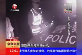 实拍男女高速路上做这事被交警逮正着 司机:只是一些私人活动图片