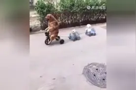 史上最牛半挂老司机！图片