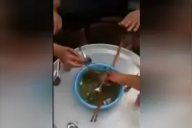 越南人是这么吃鱼的，捕来的鱼直接蘸酱生吃，重味口啊图片