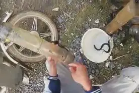 高手用塑料瓶改装的小地笼，一次收了几十个，逮了半水桶黄鳝图片