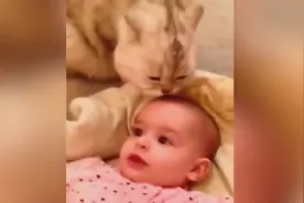 不骗你！喵星人真的很喜欢小孩子！图片