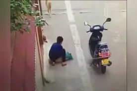 狗看见一男子突然倒地昏死 究竟为什么（视频）图片