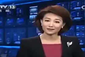 陕西方言－搞笑配音《婶婶端午节逛骊佳苑》图片