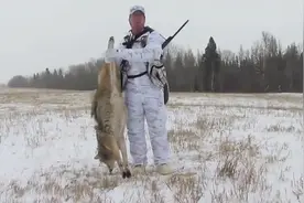 实拍猎人狩猎郊狼，郊狼一愣神的功夫，瞬间悲剧了图片