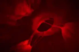 心脏揭秘！心跳声原来是这么来的！视频封面