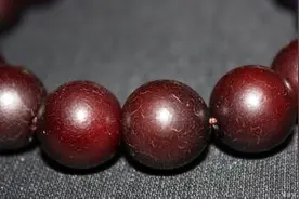 丢死个人：菩提根是啥？不懂别乱说图片
