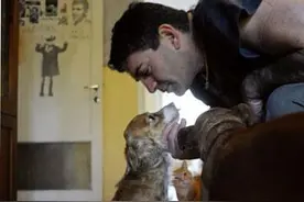 狗狗出生便残疾，只有两条后腿却仍能飞奔？没想到竟是因为这个！图片