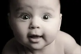 什么东西能上能下，但是不能动？图片