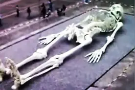 国外街头乍现巨人骨架，目测几十米之高！图片