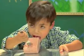 美国小朋友试吃午餐肉，反应各不相同视频封面