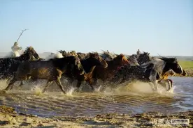 [图说内蒙32]马踏银河气魄恢宏  风驰电掣浩然骁勇图片