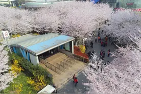 #（环境）（5）又是一年花好时图片
