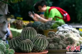 手机、WiFi、微波炉哪个辐射大？答案你绝对想不到！图片