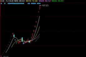 宇宙第一妖股九连板：次新+独角兽概念 欢乐海岸持续加仓图片