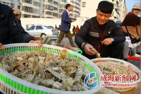 威海本地爬虾近日少量上市 每公斤130元图片