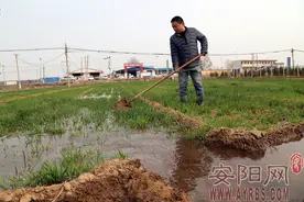 农业水价综合改革调查：每年3亿吨 这些水去哪儿了图片