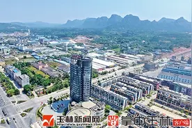 容县：攻坚克难促发展 凝心聚力惠民生图片