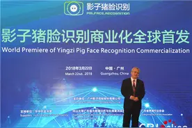 广东发布“猪脸识别”技术 开启养猪业新模式图片