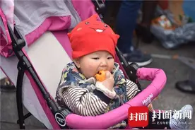 比龙泉枇杷早熟4个月 攀枝花枇杷“客场”抢占先机图片