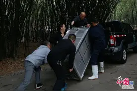 大熊猫“大双”“优浜”启程前往宿州图片