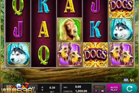 游戏沙龙会新game推荐《狗》最终能吸引狗只爱好者！图片