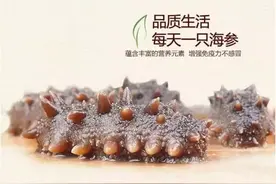 海参——您贴身的高级海洋美容师图片