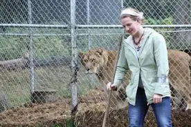 美女为在男友面前炫耀进狮宠 结果被狮子直接咬死图片