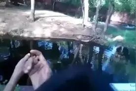 凭什么！熊孩子闯入动物园，无辜大猩猩竟被射杀图片