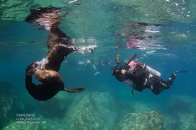 去墨西哥，收藏这篇绝对可以帮到你！图片