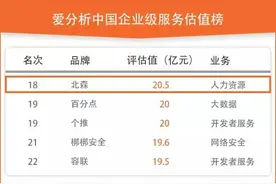 Orcale、SAP不刺激，北森对标Workday图片